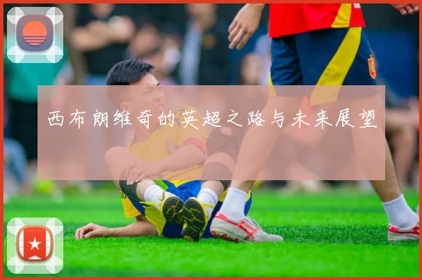 西布朗维奇的英超之路与未来展望
