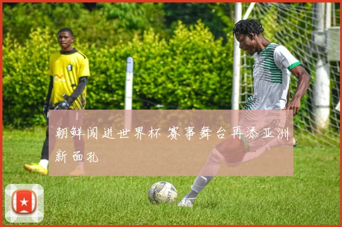 朝鲜闯进世界杯 赛事舞台再添亚洲新面孔