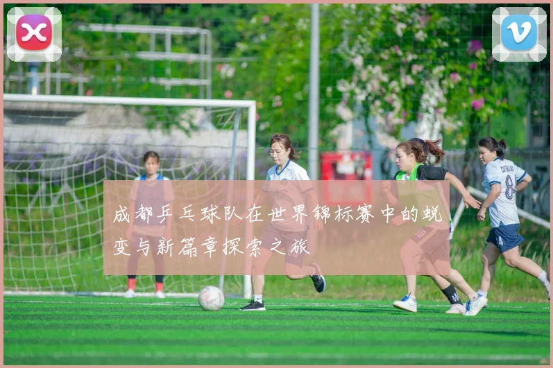 成都乒乓球队在世界锦标赛中的蜕变与新篇章探索之旅